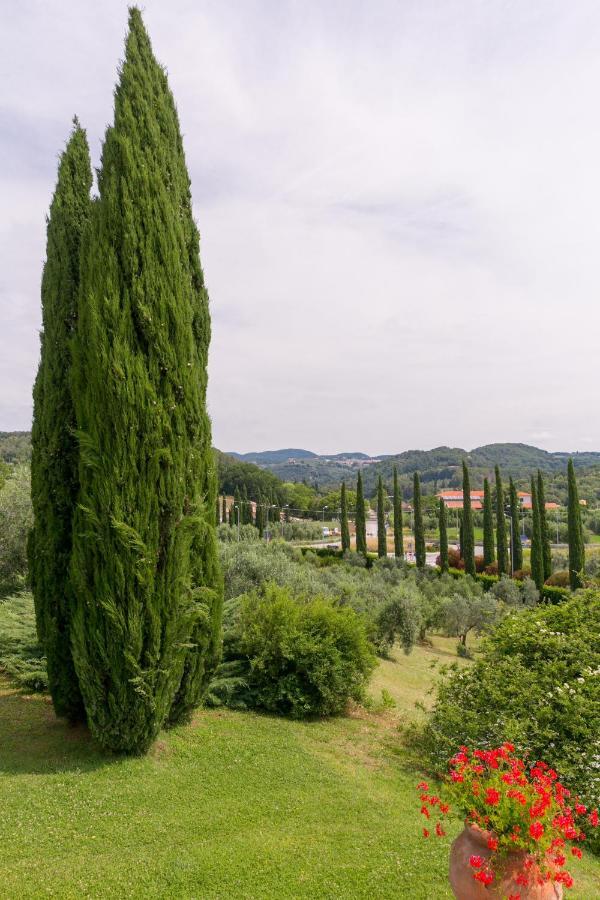 Villa Ligustro Riparbella Exterior foto